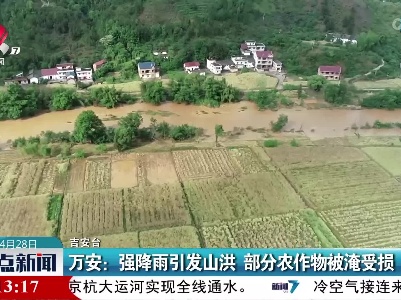 万安：强降雨引发山洪 部分农作物被淹受损