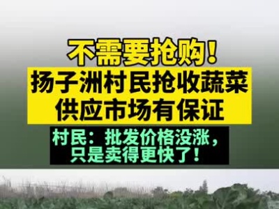南昌“菜蓝子”上新快，批发价不变