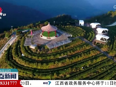 整点新闻20220410 12:00
