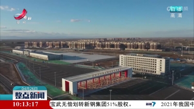 首批货物通关 北京大兴国际机场综合保税区正式运营