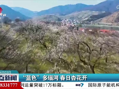 “蓝色”多瑙河 春日杏花开