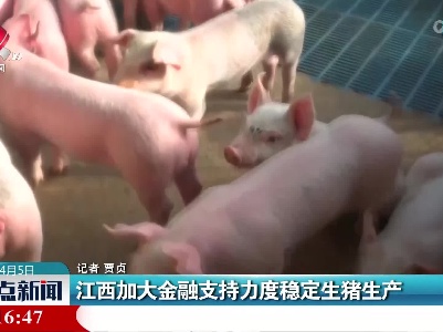 江西加大金融支持力度稳定生猪生产