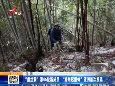 江西：“盘丝洞”添46位新成员 “湘州冠蟹蛛”亚洲首次发现