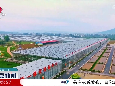 整点新闻20220401 14:00