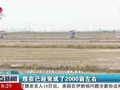 整点新闻20220419 12:00