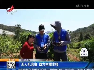 赣州寻乌：无人机治虫 助力柑橘丰收