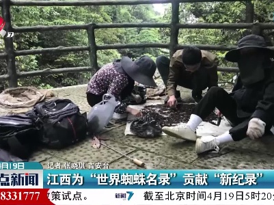 江西为“世界蜘蛛名录”贡献“新纪录”