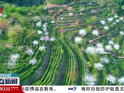 今日谷雨 谷生百谷夏将至