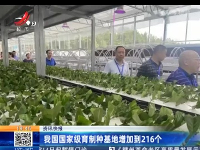 我国国家级育制种基地增加到216个