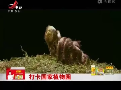 打卡国家植物园