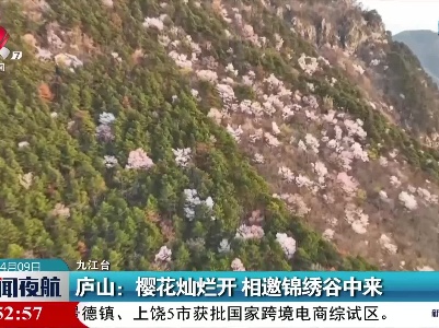 庐山：樱花灿烂开 相邀锦绣谷中来