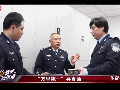 传奇故事20220409 “万里挑一”寻真凶