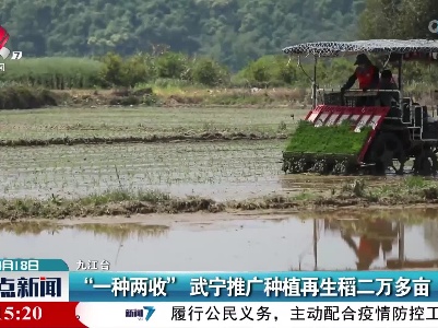 “一种两收”武宁推广种植再生稻二万多亩