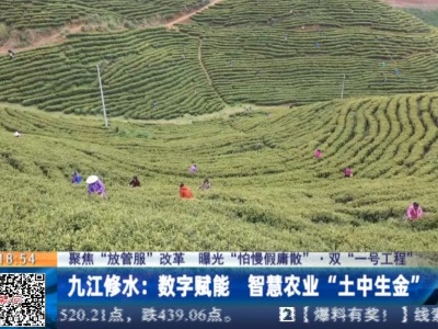 【聚焦“放管服”改革 曝光“怕慢假庸散”·双“一号工程”】九江修水：数字赋能 智慧农业“土中生金”
