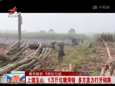 五哥帮忙团20220416