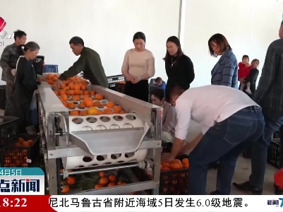 上犹：鲜甜沃柑喜获丰收