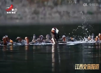 江西文旅报道20220407