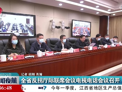 江西省反拐厅际联席会议电视电话会议召开