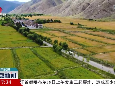 西藏农村公路通车里程达9万余公里