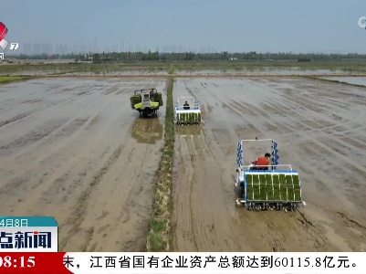 江西：早稻全面栽插 机械化率提升明显