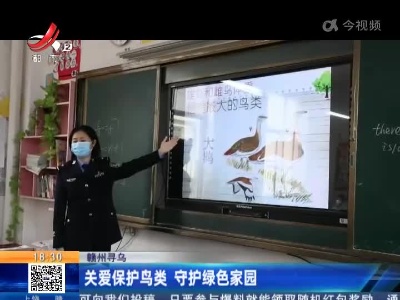 赣州寻乌：关爱保护鸟类 守护绿色家园