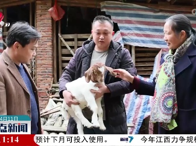 泰和：水库移民村 产业兴旺家园美