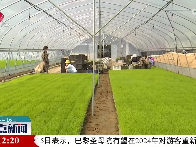 彭泽：机械化引领 水稻耕种跑出“加速度”