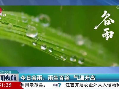 今日谷雨：雨生百谷 气温升高