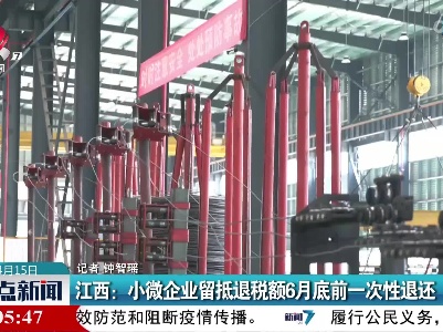 江西：小微企业留抵退税额6月底前一次性退还