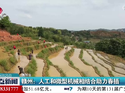 赣州：人工和微型机械相结合助力春插