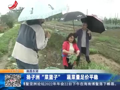 南昌东湖：扬子洲“菜篮子” 蔬菜量足价平稳