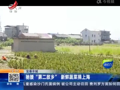 宜春丰城：驰援“第二故乡” 新鲜蔬菜捐上海