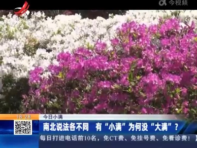 【今日小满】南北说法各不同 有“小满”为何没“大满”？