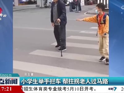 小学生举手拦车 帮拄拐老人过马路