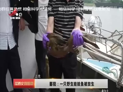 江西文旅报道20220510