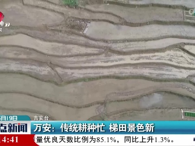 万安：传统耕种忙 梯田景色新