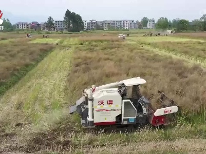 有效应对疫情 保障农业生产