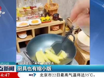 【劳动课带火“真煮”儿童厨具】厨具也有缩小版
