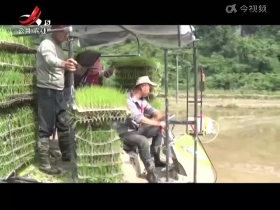 宜春袁州区：耕种机械化 新农人的“科技范”