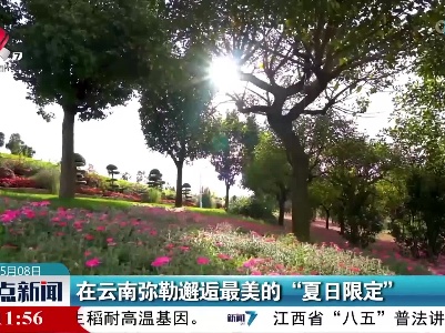 在云南弥勒邂逅最美的“夏日限定”
