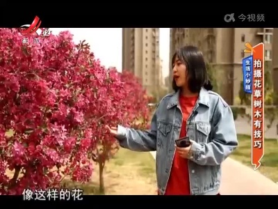 生活小妙招——拍摄花草树木有技巧