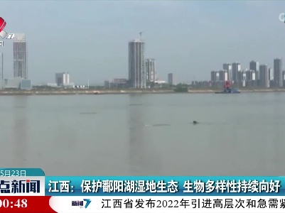 江西：保护鄱阳湖湿地生态 生物多样性持续向好