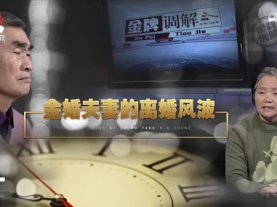 金牌调解20220501 金婚夫妻的离婚风波