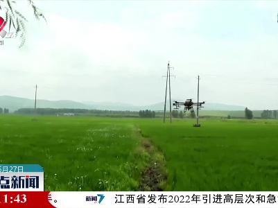 内蒙古：水稻插秧灌田忙