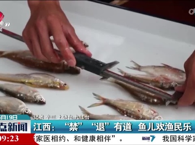 江西：“禁” “退”有道 鱼儿欢渔民乐