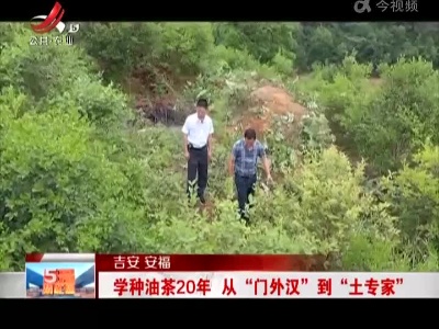 吉安安福：学种油茶20年 从“门外汉”到“土专家”