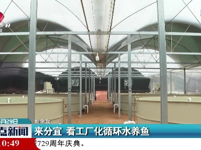 来分宜 看工厂化循环水养鱼