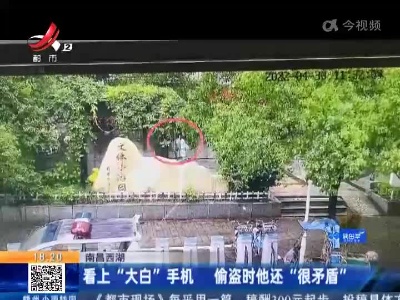 南昌西湖：看上“大白”手机 偷盗时他还“很矛盾”