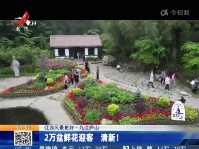 【江西风景更好】九江庐山：2万盆鲜花迎客 清新！