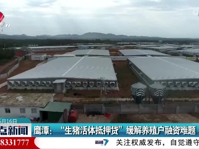 鹰潭：“生猪活体抵押贷”缓解养殖户融资难题